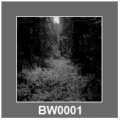 BW0001