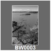 BW0003