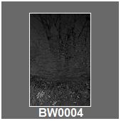 BW0004