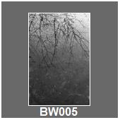 BW005