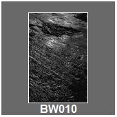 BW010