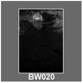 BW020