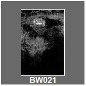 BW021