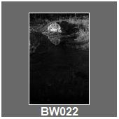 BW022
