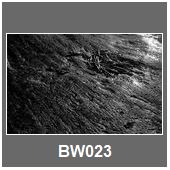 BW023