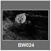 BW024
