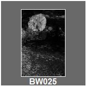 BW025