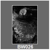 BW026