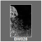 BW028