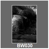 BW030