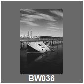 BW036