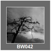 BW042
