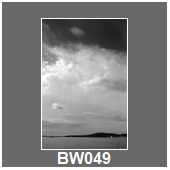 BW049