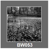 BW053