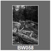 BW058
