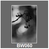 BW060