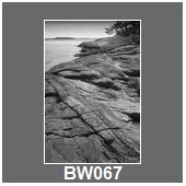 BW067