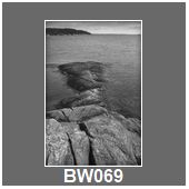 BW069