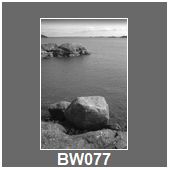 BW077