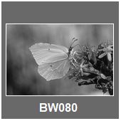 BW080
