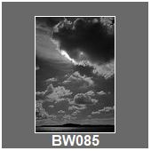 BW085