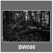 BW086