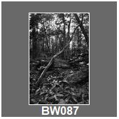 BW087