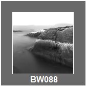 BW088