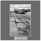 BW090
