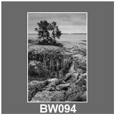 BW094