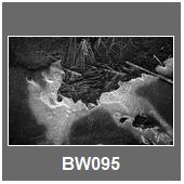 BW095