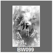 BW099