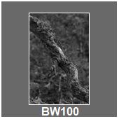 BW100