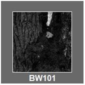 BW101