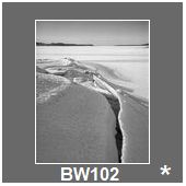 BW102