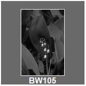 BW105
