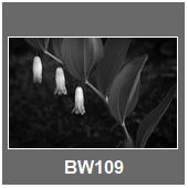 BW109
