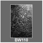 BW110