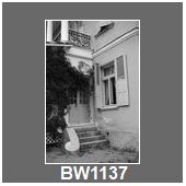 BW1137