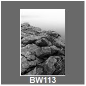 BW113