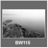 BW115