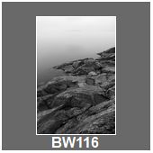 BW116