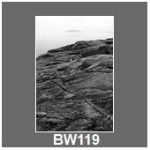 BW119