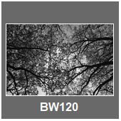 BW120