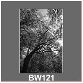 BW121