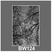 BW124