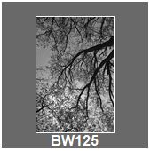 BW125