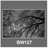 BW127