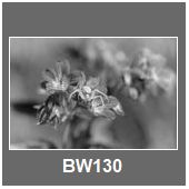 BW130