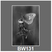 BW131
